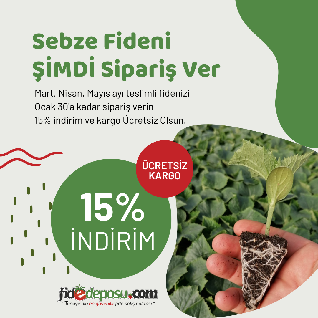 2025 Baharlık Fide Kampanyamız Başladı