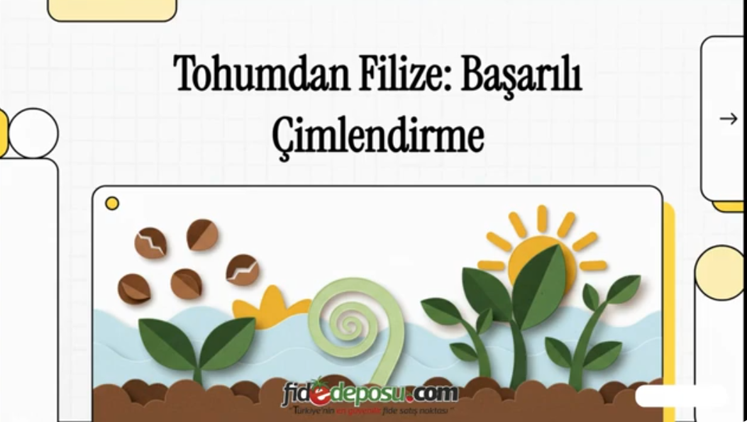 Tohum Çimlendirme Nasıl Yapılır? Tohum Çimlendir