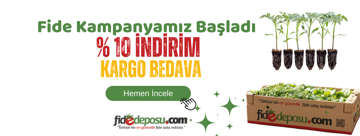 2026 Bahar Kampanyalı Fide Fiyatları