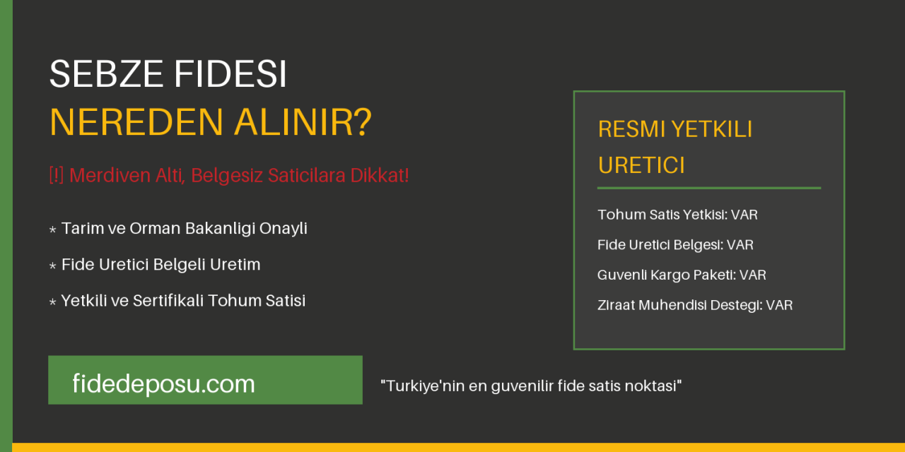 Sebze Fidesi Nereden Alınır? En Sağlıklı ve Güvenilir Çözümler