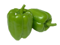 Dolma Biber Fidesi