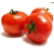 Domates Fidesi