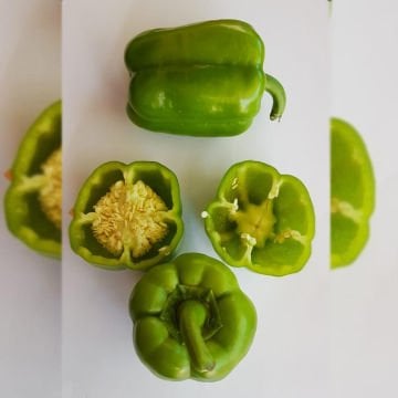 Azim F1 Dolma Biber Tohumu