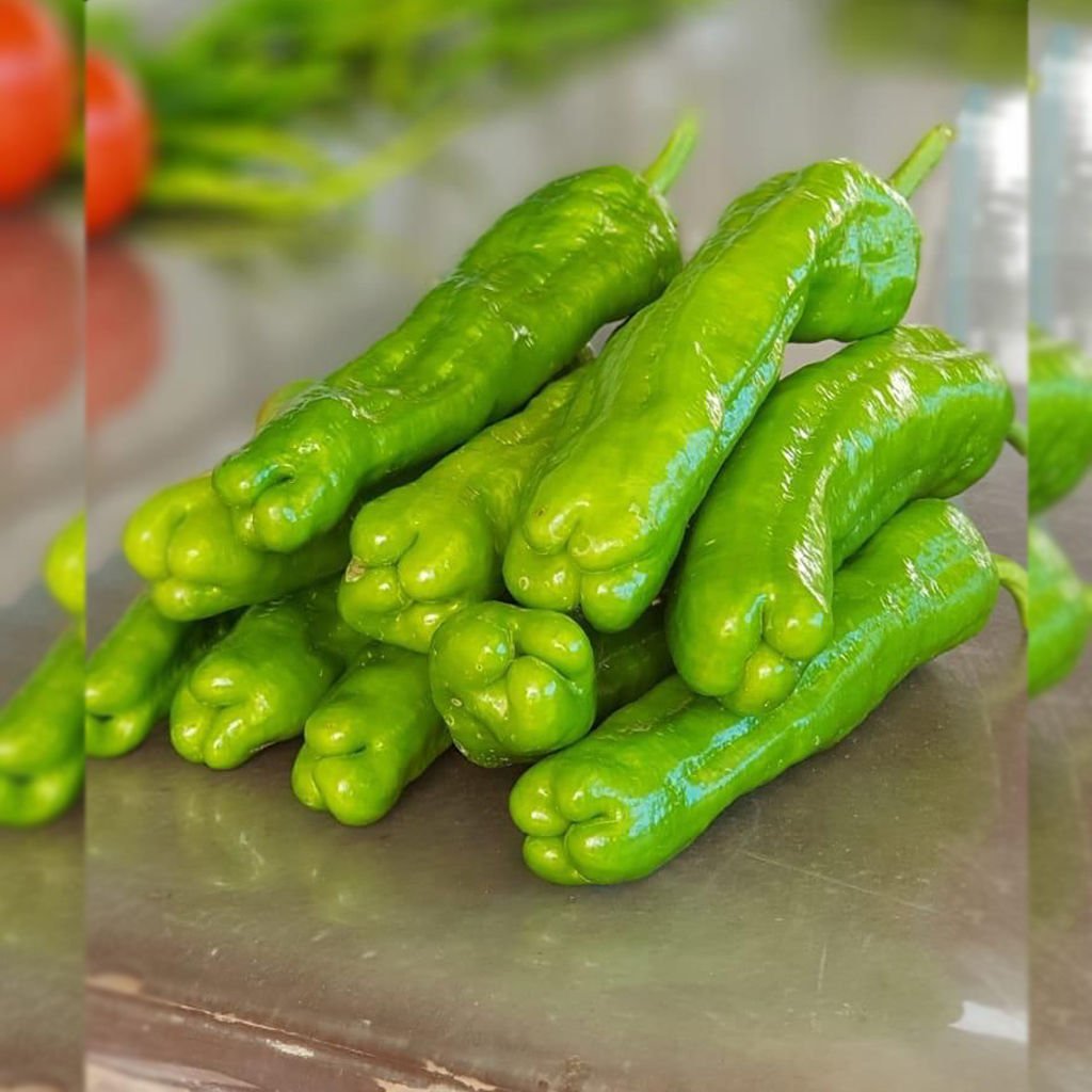 Şahan F1 Üçburun Biber Tohumu