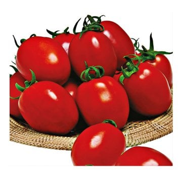 Salsa F1 Salçalık Domates Tohumu 5000 Adet