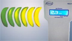 Portatif Diğital Etilen Ölçüm Cihazı (Pes-411)