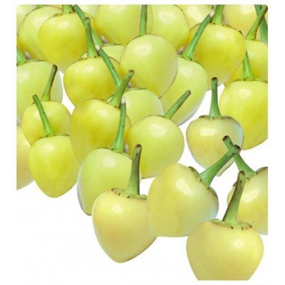 Top Biberiye Biber Tohumu
