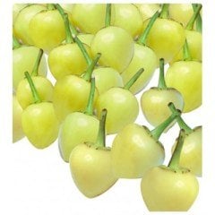 Top Biberiye Biber Tohumu