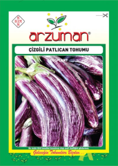 Çizgili Patlıcan Tohumu