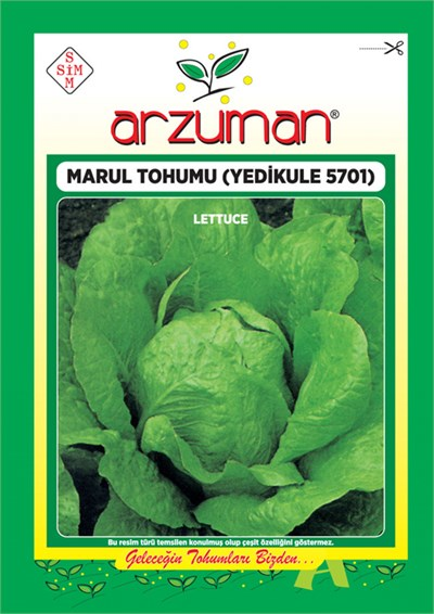 Yedikule 5701 Marul Tohumu