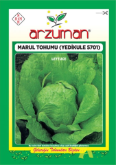 Yedikule 5701 Marul Tohumu