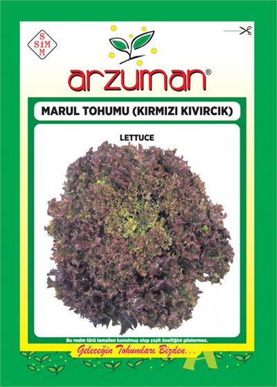 Kırmızı Kıvırcık Marul Tohumu