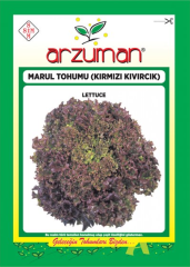 Kırmızı Kıvırcık Marul Tohumu