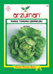 Şemikler Marul Tohumu