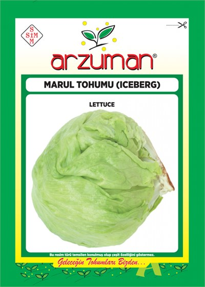 İceberg Marul Tohumu