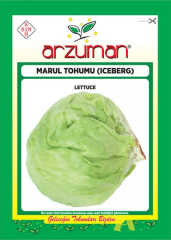 İceberg Marul Tohumu