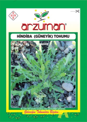 Hindiba Güneyik Tohumu