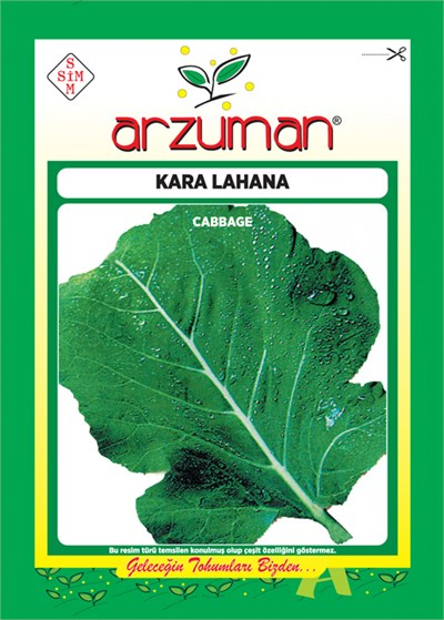 Yaprak Lahana Tohumu