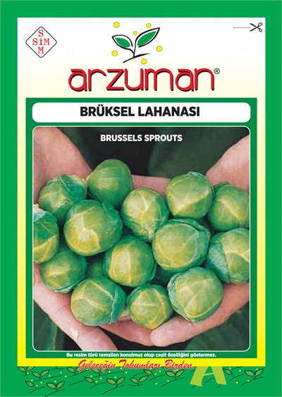 Brüksel Lahana Tohumu 200 Adet