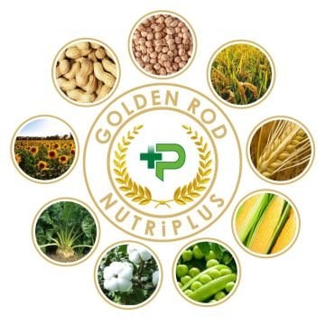 Golden Rod Tüm Tarla Bitkileri İçin Sıvı Gübre 5 Lt
