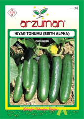 Oturak Hıyar Tohumu