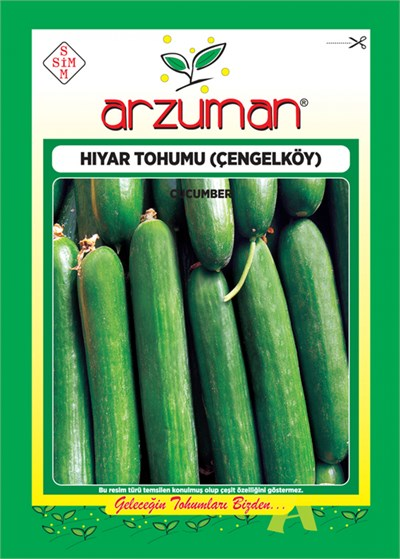 Çengelköy Hıyar Tohumu