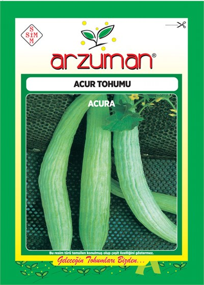Acur Tohumu