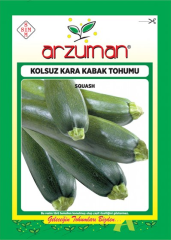 Siyah Kabak Tohumu
