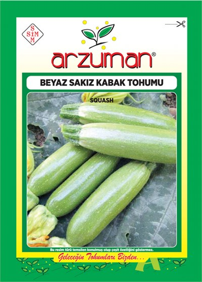 Sakız Beyaz Kabak Tohumu