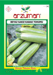 Sakız Beyaz Kabak Tohumu
