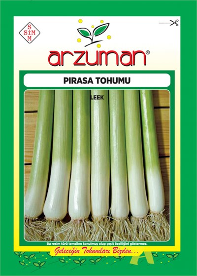 Pırasa Tohumu