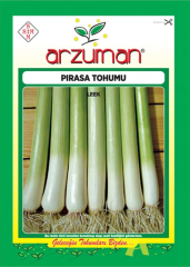 Pırasa Tohumu