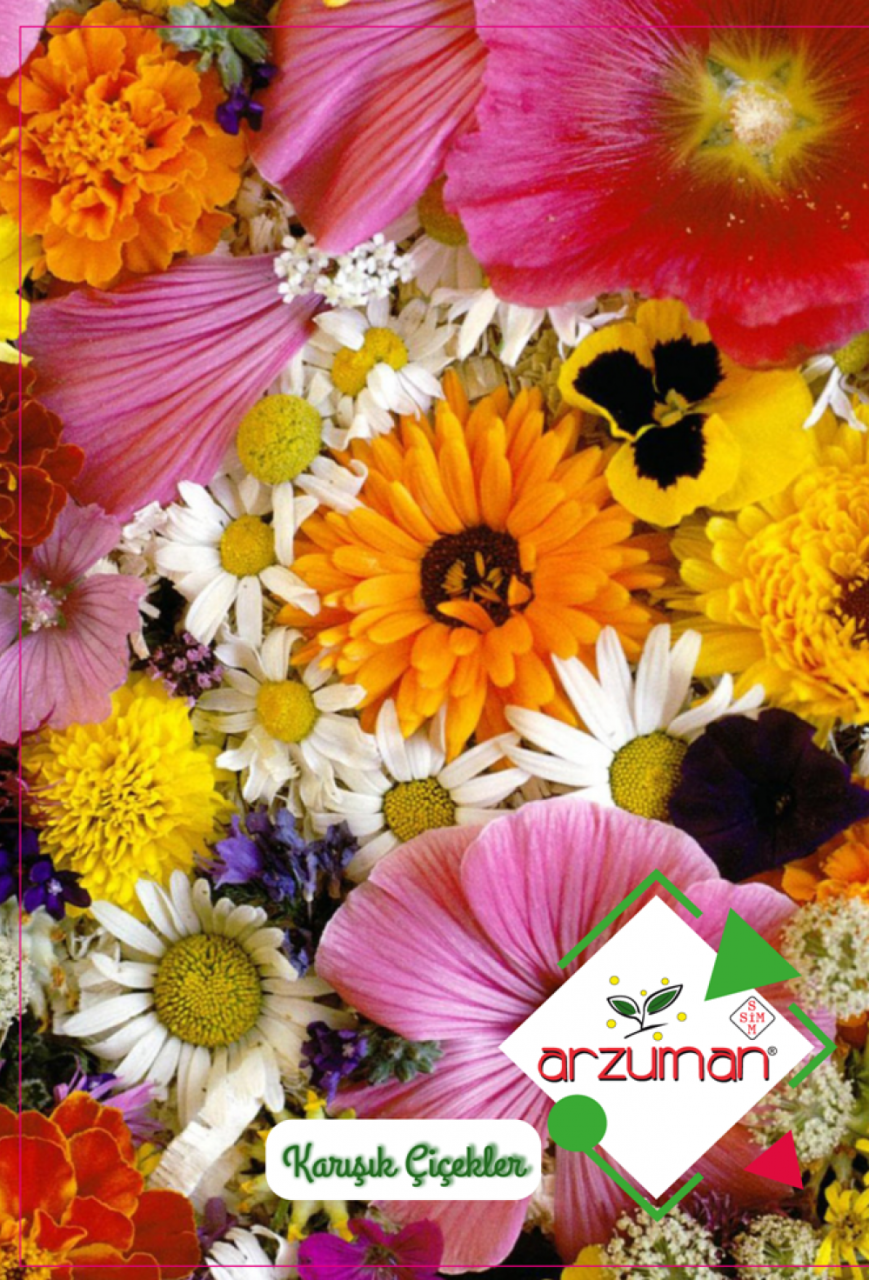 Karışık 8 Çeşit Çiçek Tohumu 50 Adet