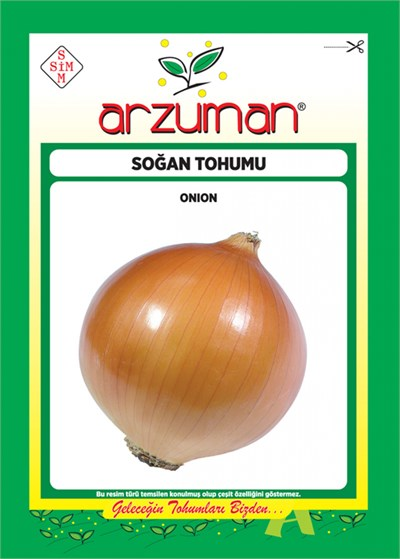 Kuru Soğan Tohumu