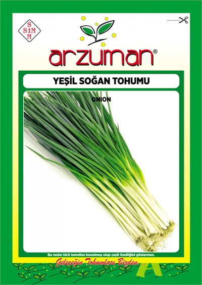 Yeşil Taze Soğan Tohumu