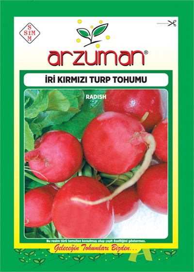 İri Kırmızı Turp Tohumu