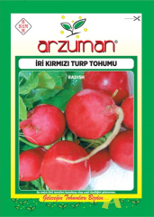 İri Kırmızı Turp Tohumu