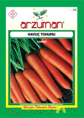Havuç Tohumu