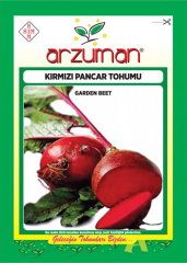 Kırmızı Pancar Tohumu