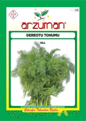Dereotu Tohumu