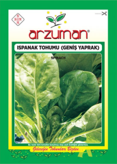 Ispanak Tohumu 1 Kilogram