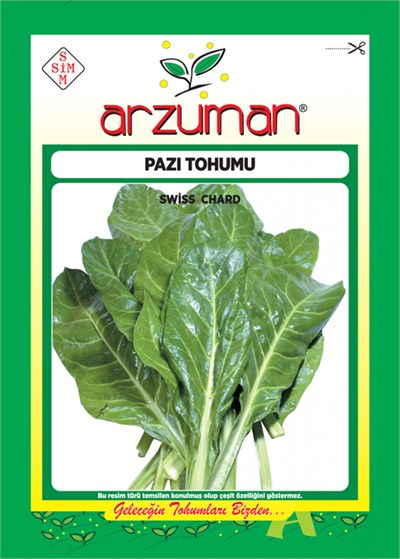 Pazı Tohumu