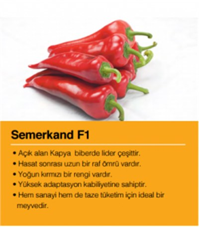 Semerkand F1 Kapya Biber Tohumu 1000 Adet