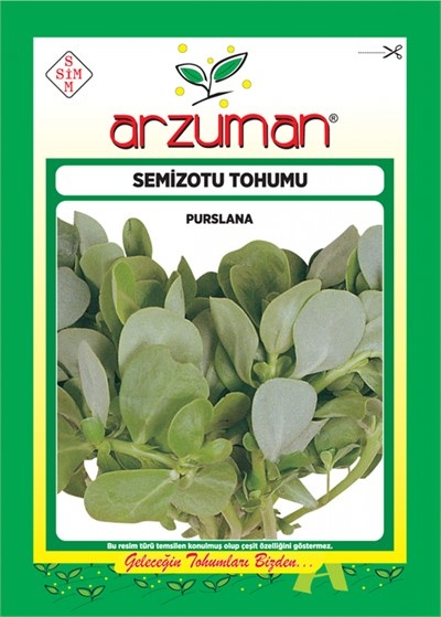 Semizotu Tohumu