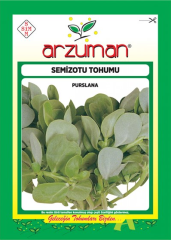 Semizotu Tohumu