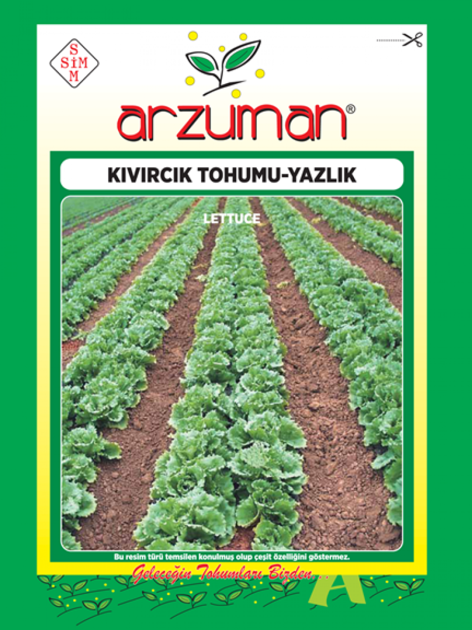 Yazlık Kıvırcık Marul Tohumu