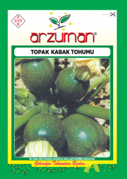 Topak Kabak Tohumu 10 Gram