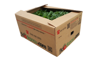 Hobi Fide Seti Midi (100 Adet)