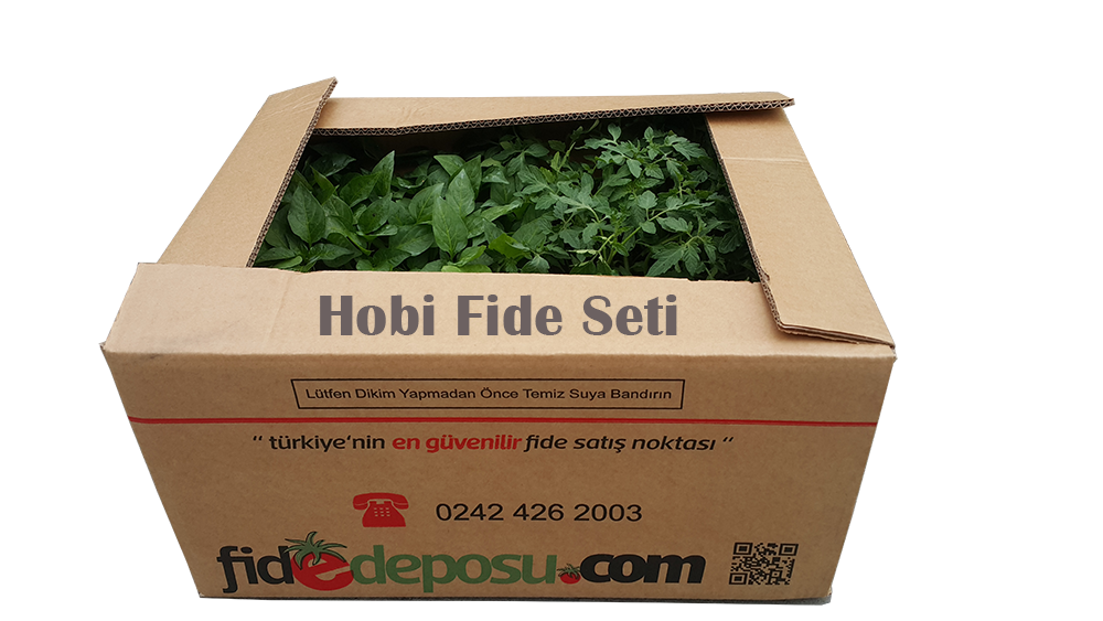 Hobi Fide Seti Midi (100 Adet)