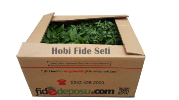 Hobi Fide Seti Midi (100 Adet)